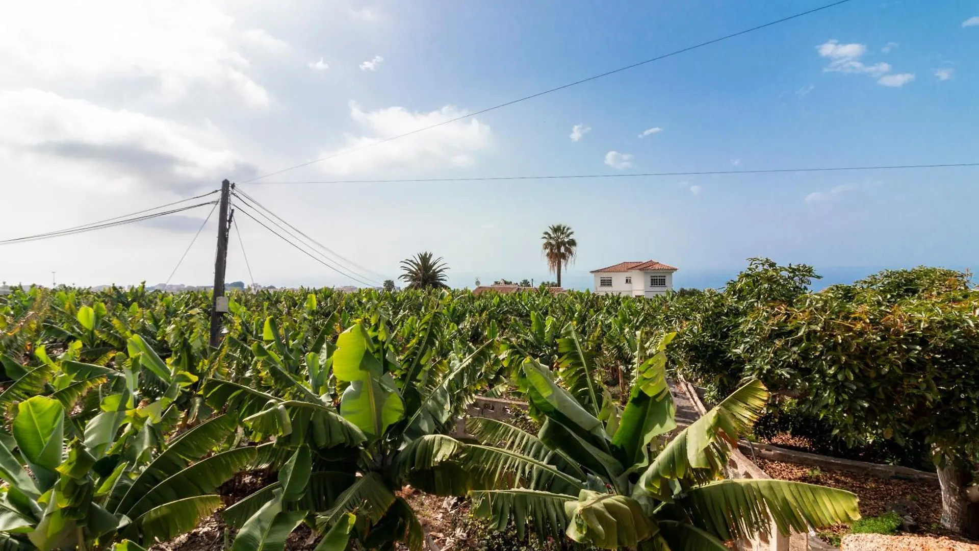 Holiday home Prime Home Los Orovales Puerto de la Cruz