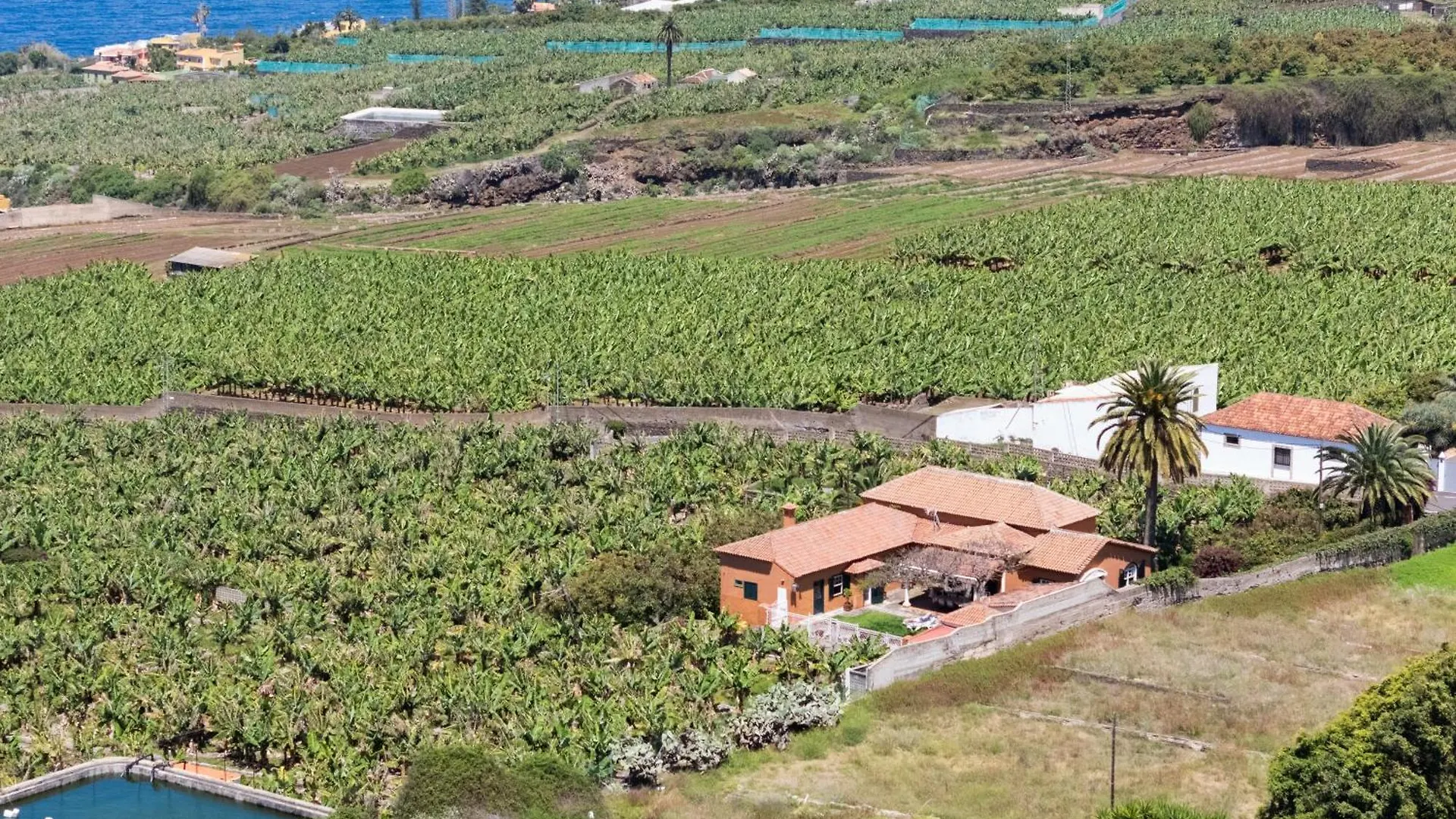 Holiday home Prime Home Los Orovales Puerto de la Cruz
